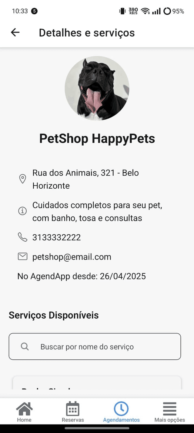 Imagem 6 do projeto agendapp.name